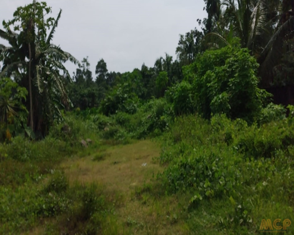 My Colombo Properties - Land | For Sale | Kaluthara - Property ID - L3186A