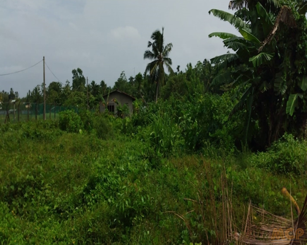 My Colombo Properties - Land | For Sale | Kaluthara - Property ID - L3186A